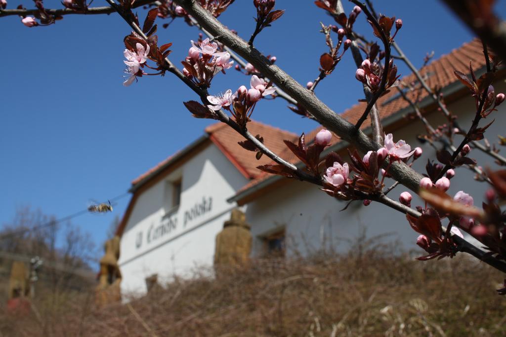 Penzion U Černého Potoka Nová Lhota Exterior foto